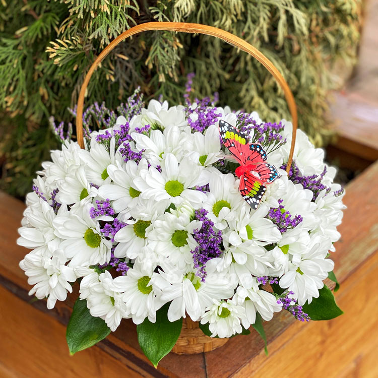 Корзина кустовых хризантем (крупный план)