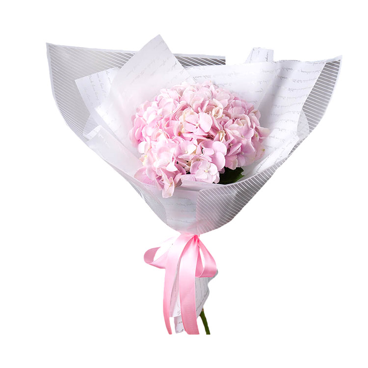 Букет из 1 розовой гортензии (на белом фоне)