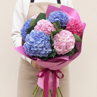 Букет из 7 разноцветных гортензий