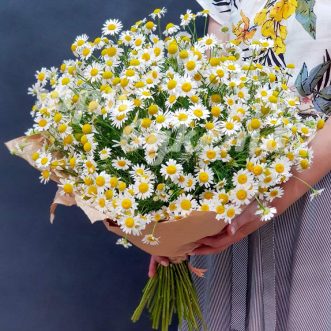 Букет из 23 ромашек в крафте