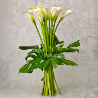 Дюжина белых калл Дюжина белых калл