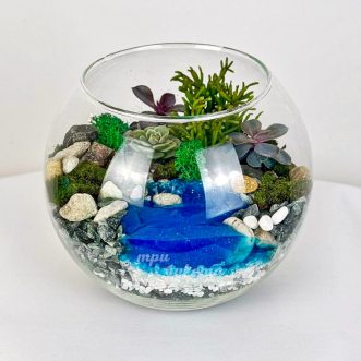 Флорариум с водоемом и суккулентами